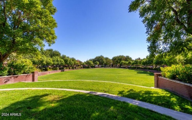 view of community featuring a yard