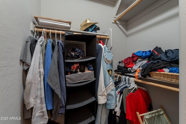 2735 E Flower Ct, Gilbert, AZ 85298 - view of walk in closet