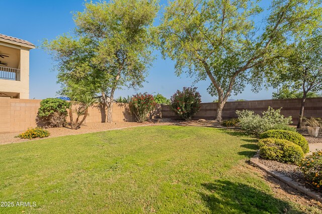 2735 E Flower Ct, Gilbert, AZ 85298 - view of yard