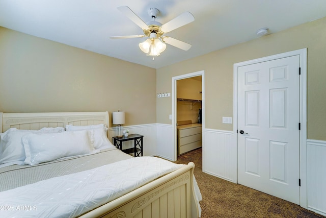 bedroom featuring ceiling fan, a wainscoted wall, a closet, dark colored carpet, and a walk in closet