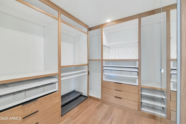 spacious closet with light wood finished floors