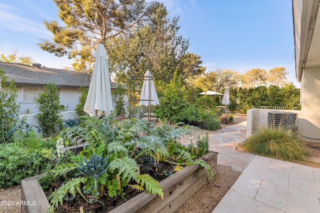 view of yard with a garden