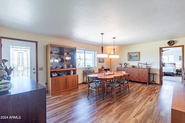 dining space featuring hardwood / wood-style flooring