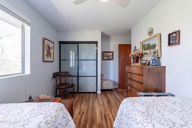 bedroom featuring ceiling fan and dark wood-type flooring