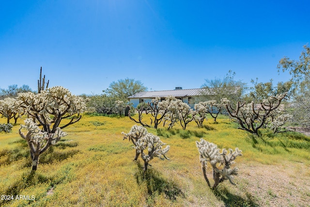 view of yard featuring a rural view