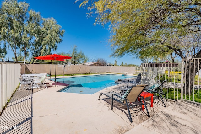 view of pool featuring a patio area