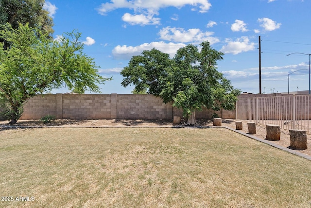 1160 E Hampton Cir, Mesa, AZ 85204 - view of fenced backyard