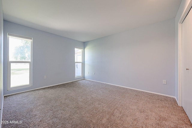 empty room featuring carpet and a wealth of natural light