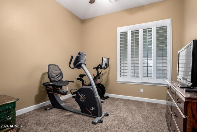 workout room featuring light colored carpet