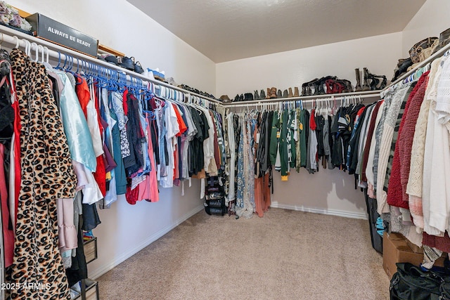 12925 W Llano Dr, Litchfield Park, AZ 85340 - walk in closet featuring carpet flooring