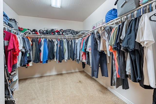 12925 W Llano Dr, Litchfield Park, AZ 85340 - spacious closet featuring carpet floors