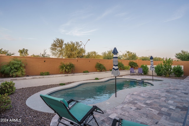 view of swimming pool featuring a patio area