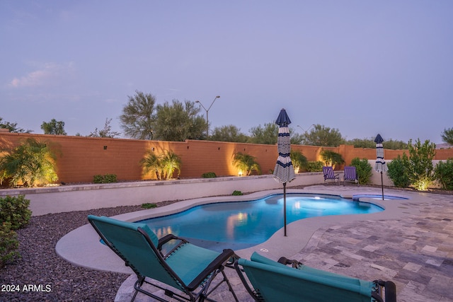 view of pool featuring a patio area