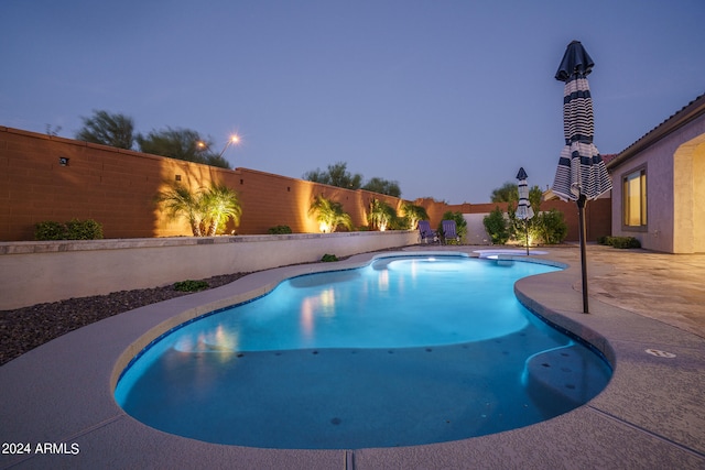 view of pool with a patio area