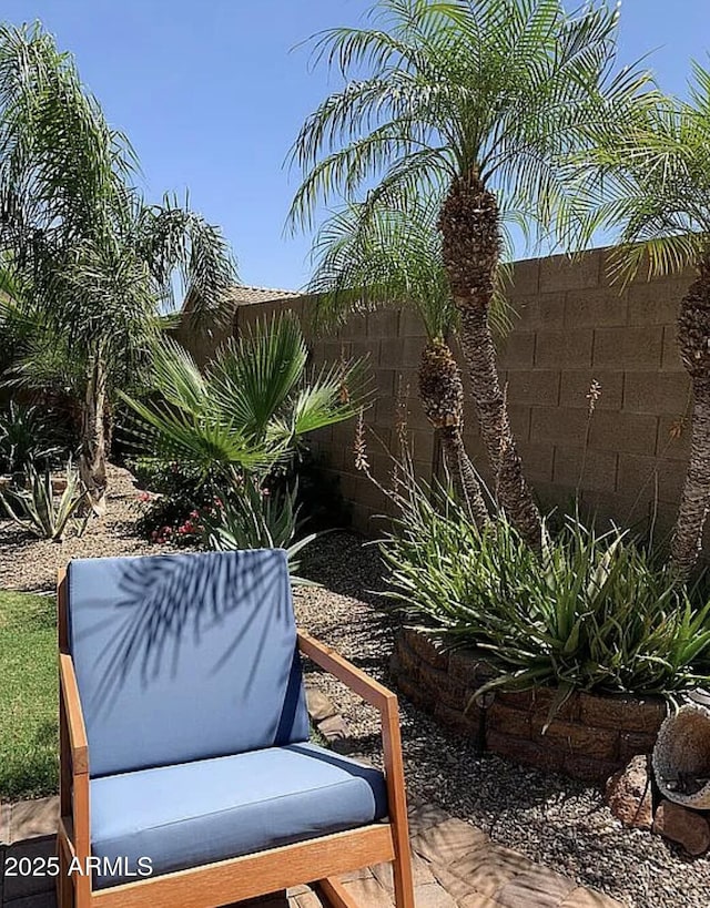 30178 N Coral Bean Dr, San Tan Valley, AZ 85143 - view of fenced backyard