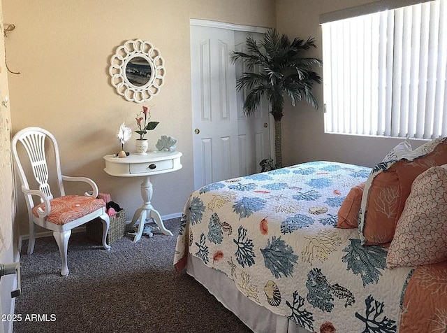 30178 N Coral Bean Dr, San Tan Valley, AZ 85143 - bedroom with a closet, carpet floors, and baseboards