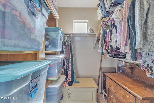 view of spacious closet