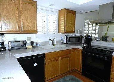 kitchen featuring dishwasher, stove, sink, and exhaust hood