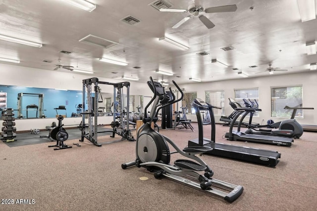 920 E Devonshire Ave Unit 2031, Phoenix, AZ 85014 - workout area with ceiling fan and attic access