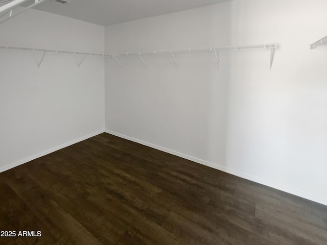 walk in closet with dark wood-type flooring