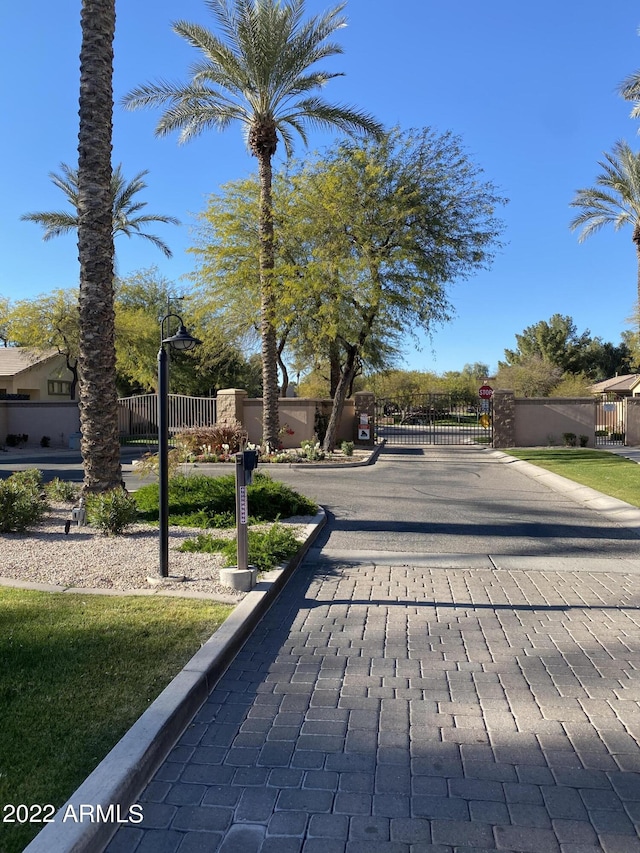 2042 W Periwinkle Way, Chandler, AZ 85248 - view of street with a gate, a gated entry, and curbs