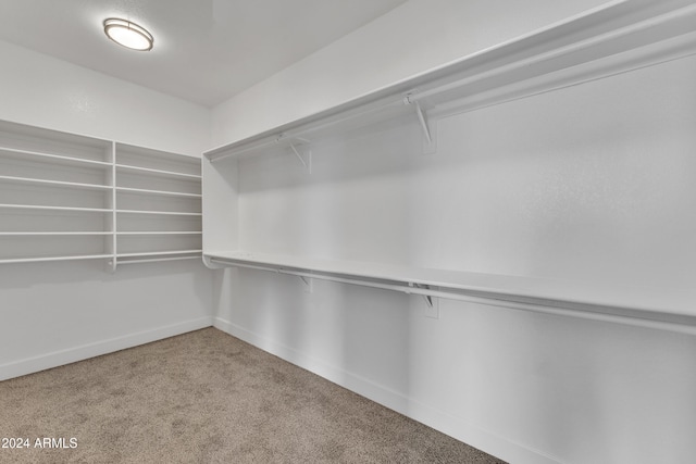 spacious closet featuring carpet flooring