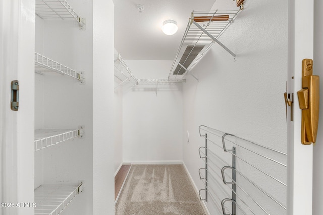 spacious closet with carpet