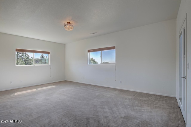 unfurnished room with a textured ceiling, carpet floors, and a healthy amount of sunlight