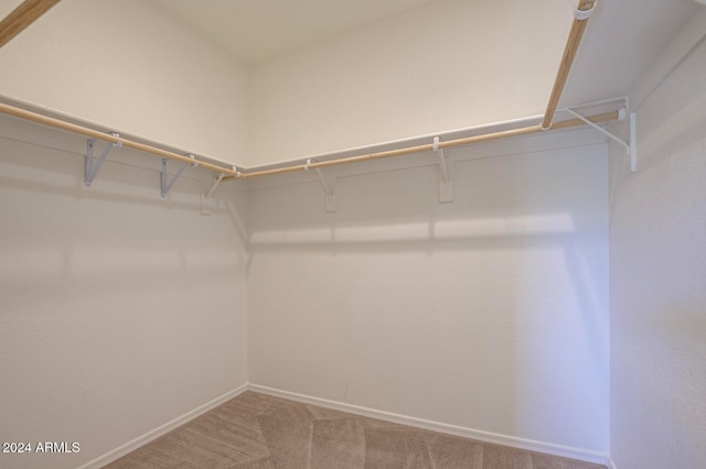 walk in closet with carpet flooring