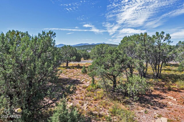 property view of mountains