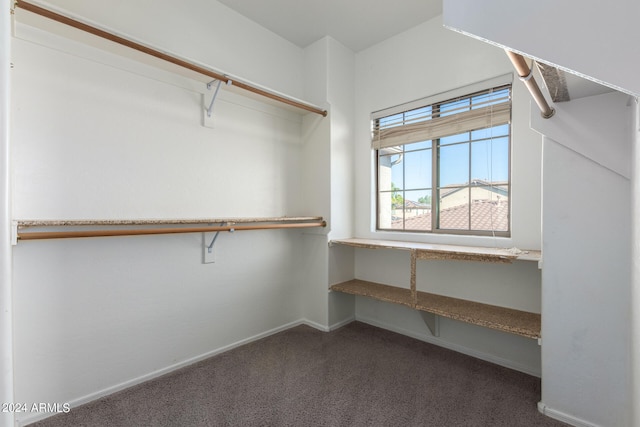 walk in closet featuring dark carpet