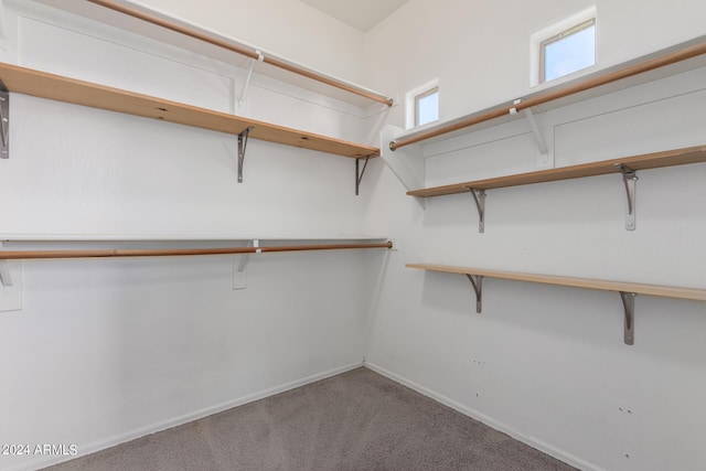 spacious closet featuring carpet flooring