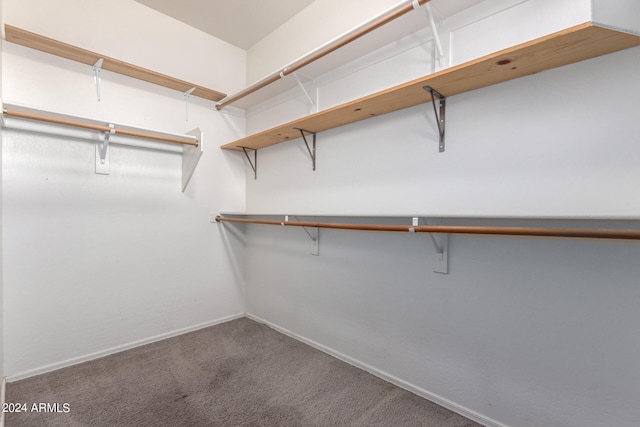 spacious closet with carpet