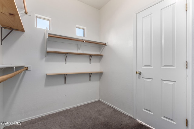 walk in closet with carpet