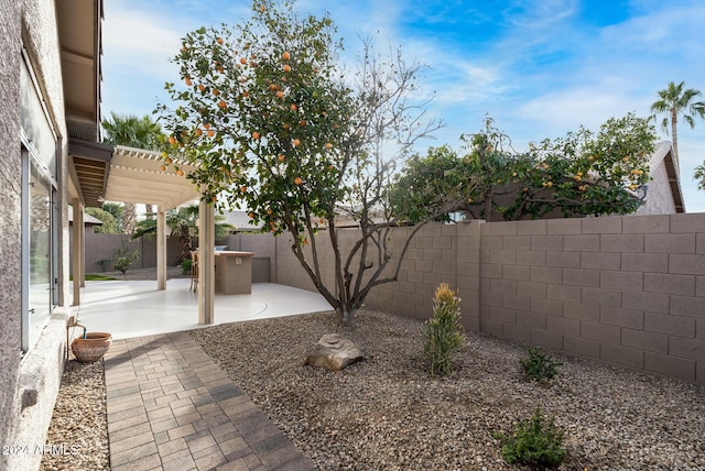 view of patio / terrace featuring a pergola