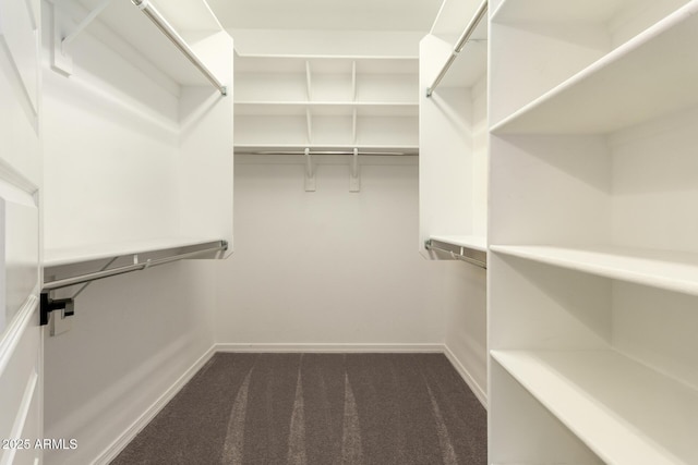 spacious closet featuring dark colored carpet