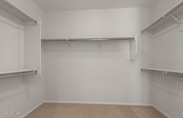 walk in closet with carpet flooring