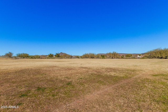 view of yard featuring a rural view