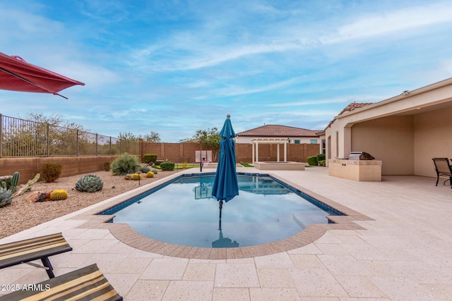 view of pool featuring a patio area, a fenced backyard, a fenced in pool, and area for grilling