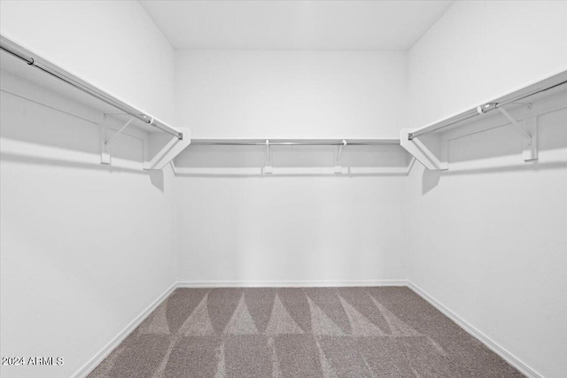 walk in closet with carpet