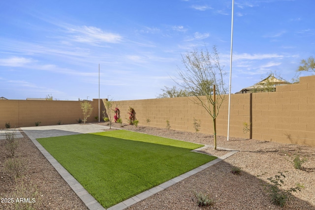 view of yard with a patio area and a fenced backyard