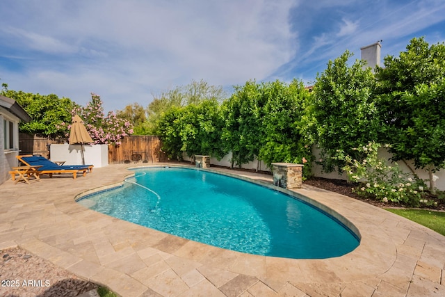 view of pool with a fenced backyard and a patio