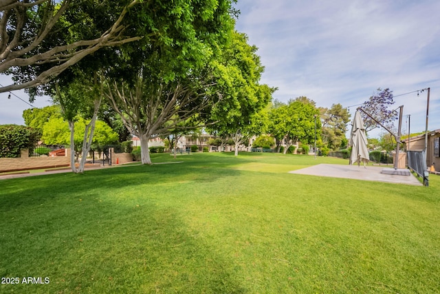 view of yard with a patio area