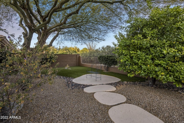 28897 N 94th Pl, Scottsdale, AZ 85262 - fenced backyard with a patio area