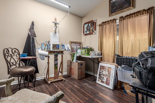 miscellaneous room featuring vaulted ceiling and dark wood-type flooring