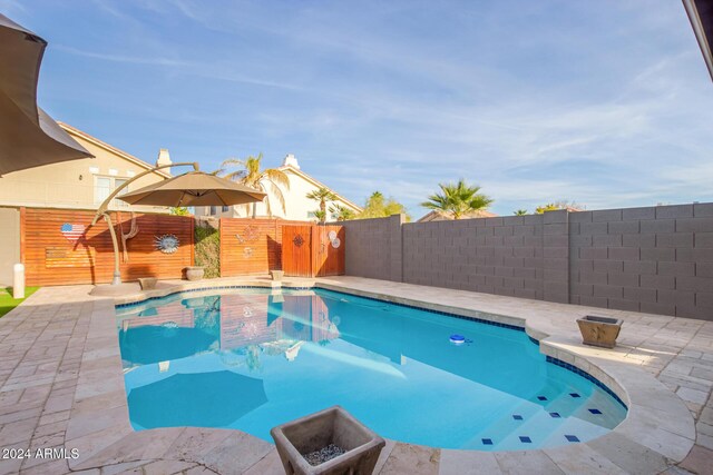 view of pool with a patio area