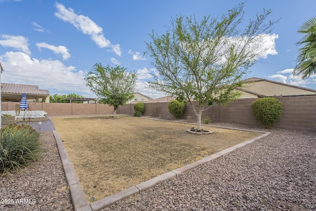 view of yard with a fenced backyard