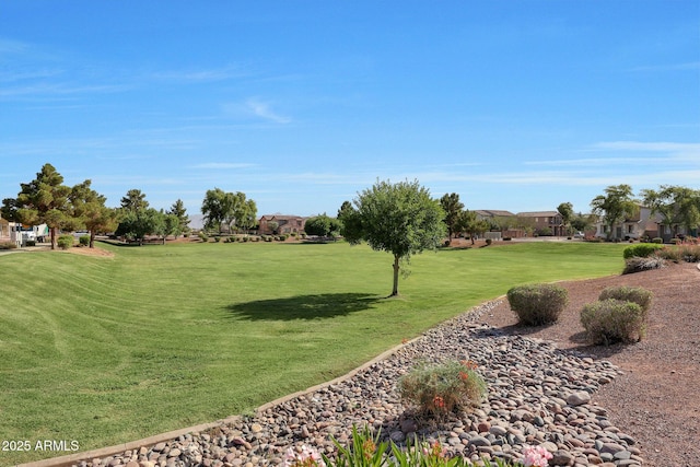 5439 W Odeum Ln, Phoenix, AZ 85043 - view of home's community featuring a yard