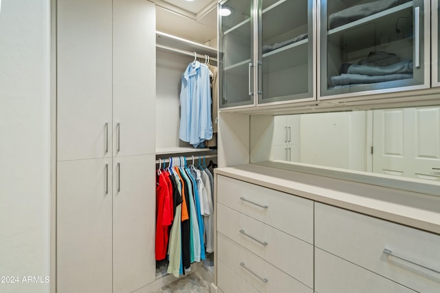 view of spacious closet