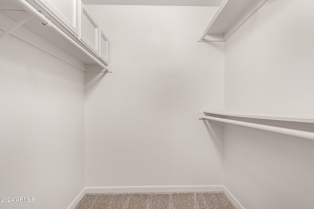 walk in closet with carpet flooring